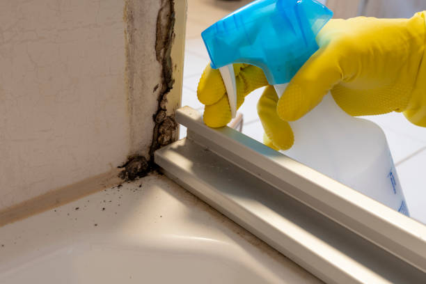 Best Residential Mold Removal  in Pinson, AL