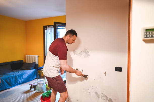 Best Same-Day Mold Removal  in Pinson, AL